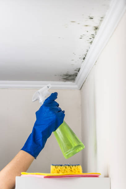 Regency At Monroe, NJ Mold Removal Company